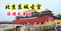 伊人乱伦中国北京-东城古宫旅游风景区